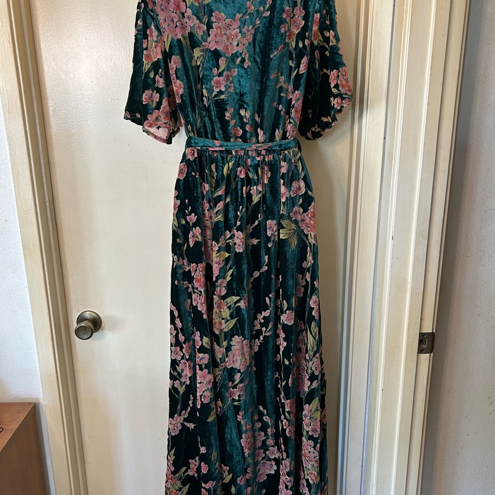 Baltic Born Green Floral Velvet Maxi Dress with Pink Flowers - Picture 8 of 12